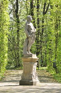 Ovid