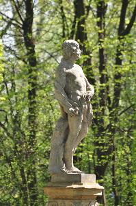 Ovid