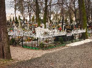 Toruń - cmentarz komunalny