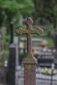 Toruń - cmentarz św. Jerzego - ogrodzenie