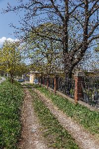 Toruń - cmentarz przy ul. Poznańskiej