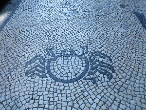 Aveiro – bruk
