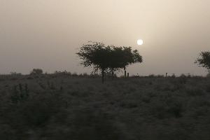 Zamglone pustynne słońce