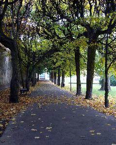 Gdańsk - Park Oliwski