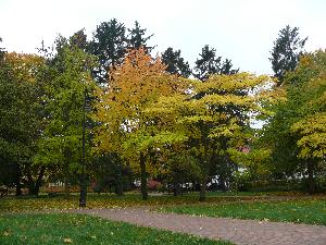 Gdańsk - Park Oliwski