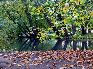 Gdańsk - Park Oliwski