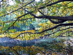 Gdańsk - Park Oliwski