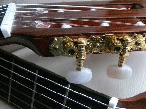 Gitara Amira. 