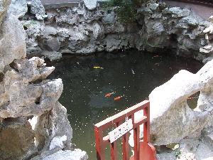 Szanghaj - oczko wodne wśród sztucznych skał (Ogród Yuyuan)