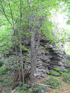 Wleń - Zamek Wleń