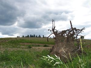 100_5435.jpg
