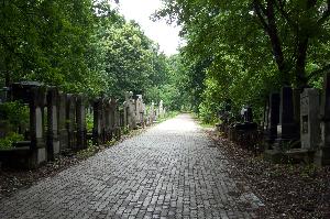 Warszawa - Cmentarz żydowski 