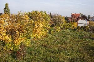 Jesień