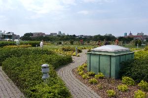 Warszawa - ogród na dachu Biblioteki Uniwersyteckiej