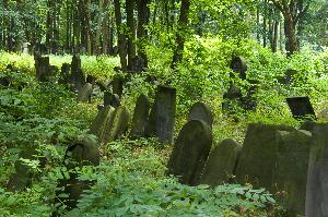 Warszawa - Cmentarz żydowski 