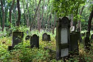 Warszawa - Cmentarz żydowski 