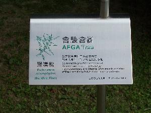 Hong Kong (Chiny) tablica wdzięczności 