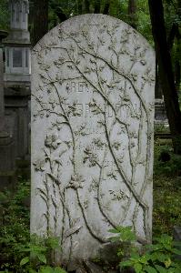 Warszawa - Cmentarz żydowski 