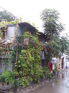 Chiny - dom w zieleni