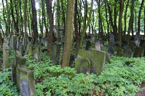 Warszawa - Cmentarz żydowski 