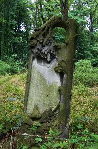 Warszawa - Cmentarz żydowski 