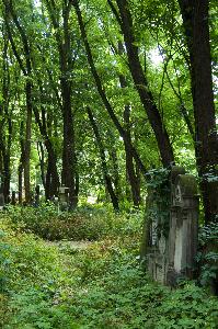 Warszawa - Cmentarz żydowski 