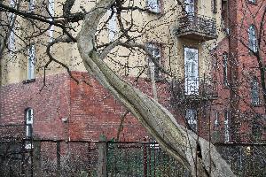 Toruń - ul. Krasińskiego 15a