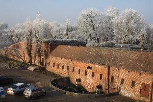 Toruń zimą