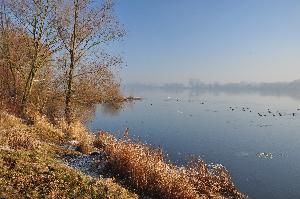 Wisła