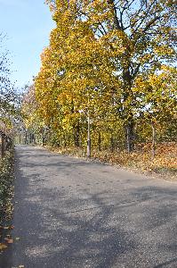 Ulica Dybowska
