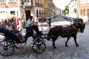 Dorożka w Warszawie