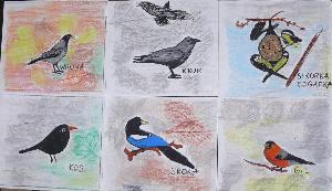 Rysunek dziecięcy - "Ptaki polskie"