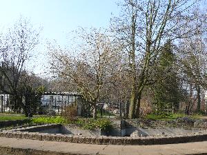 Gdańsk - Park Oliwski - ogród botaniczny