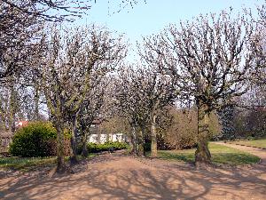 Gdańsk - Park Oliwski - ogród botaniczny