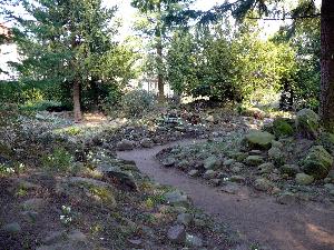 Gdańsk - Park Oliwski - ogród botaniczny