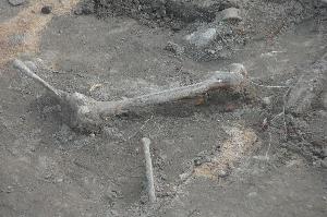 Toruń - wykopaliska archeologiczne