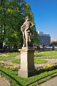 Warszawa - Ogród Saski - Flora