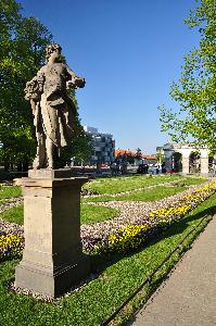 Warszawa - Ogród Saski - Flora