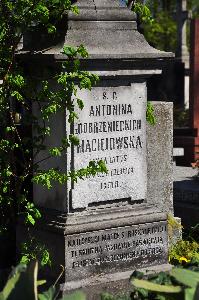 Warszawa - cmentarz w Wilanowie