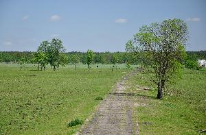 Wieś Obory