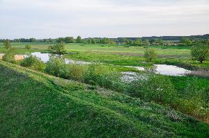 Nad Wisłą