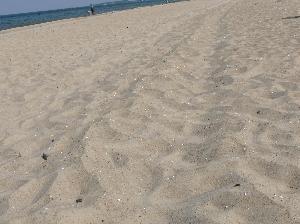 Bałtyk - plaża