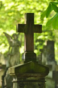 Warszawa - cmentarz powązkowski