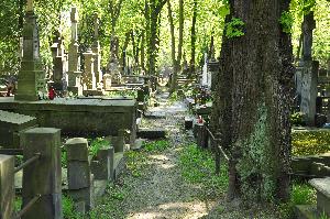 Warszawa - cmentarz powązkowski