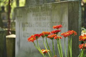 Warszawa - cmentarz powązkowski