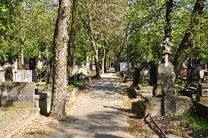 Warszawa - cmentarz powązkowski