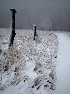 Zima