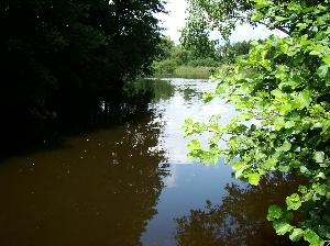 Komierowo - park