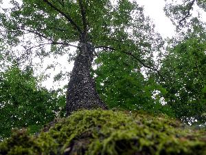 Trójmiejski Park Krajobrazowy