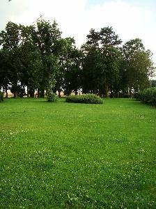 Rogalin (pow. sępoleński) - park